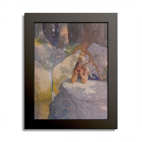 And Lived by Fruit and Such as He Might Get by N. C. Wyeth, 1917, King Arthur illustration as an 8 x 10 in framed print in a black wood frame